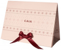 HOLIDAY GIFT BAG - M