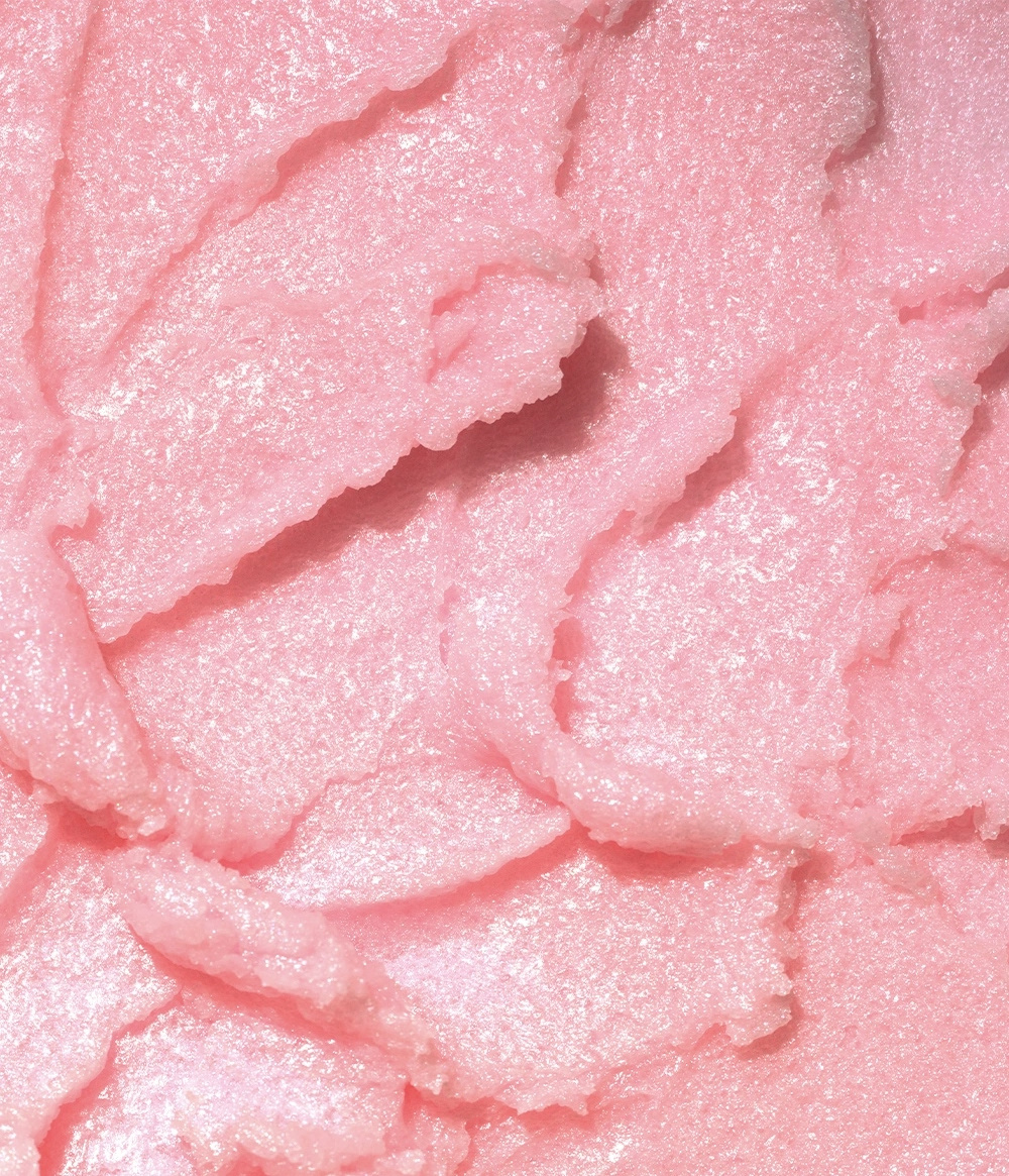 VACAY VIBE KIT VACAY VIBE KIT